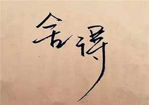 小舍小得，大舍大得