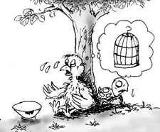 当前社会应如何放生？